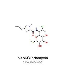 Clindamycin-B-2-Phosphate