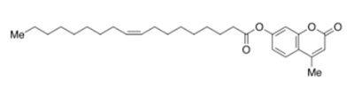 Padrão de referência 4-Methylumbelliferyl Oleate