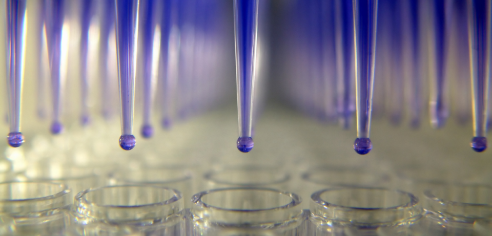 Automação de PCR: 4 formas de aumentar a produtividade do laboratório